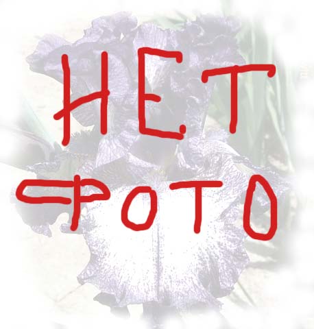 Outcaste/Ауткасте