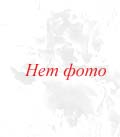Fashion Statement/Фешн Стейтмент
